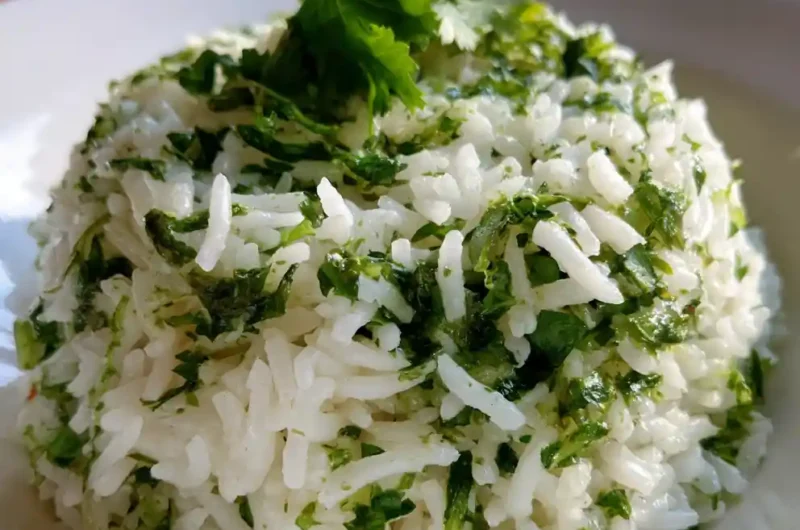 Basmati Rice Recipe Instant Pot 1765926310.353688