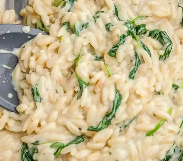 Creamy Boursin Orzo with Spinach