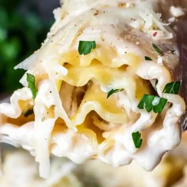 Chicken Alfredo Lasagna Rolls
