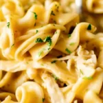 Instant Pot Chicken and Noodles