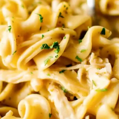Instant Pot Chicken and Noodles
