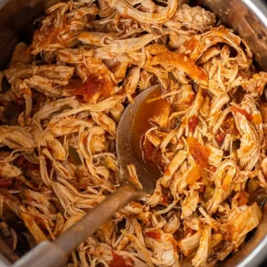 Easy Pressure Cooker Salsa Chicken