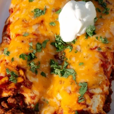 Savory Beef Enchiladas