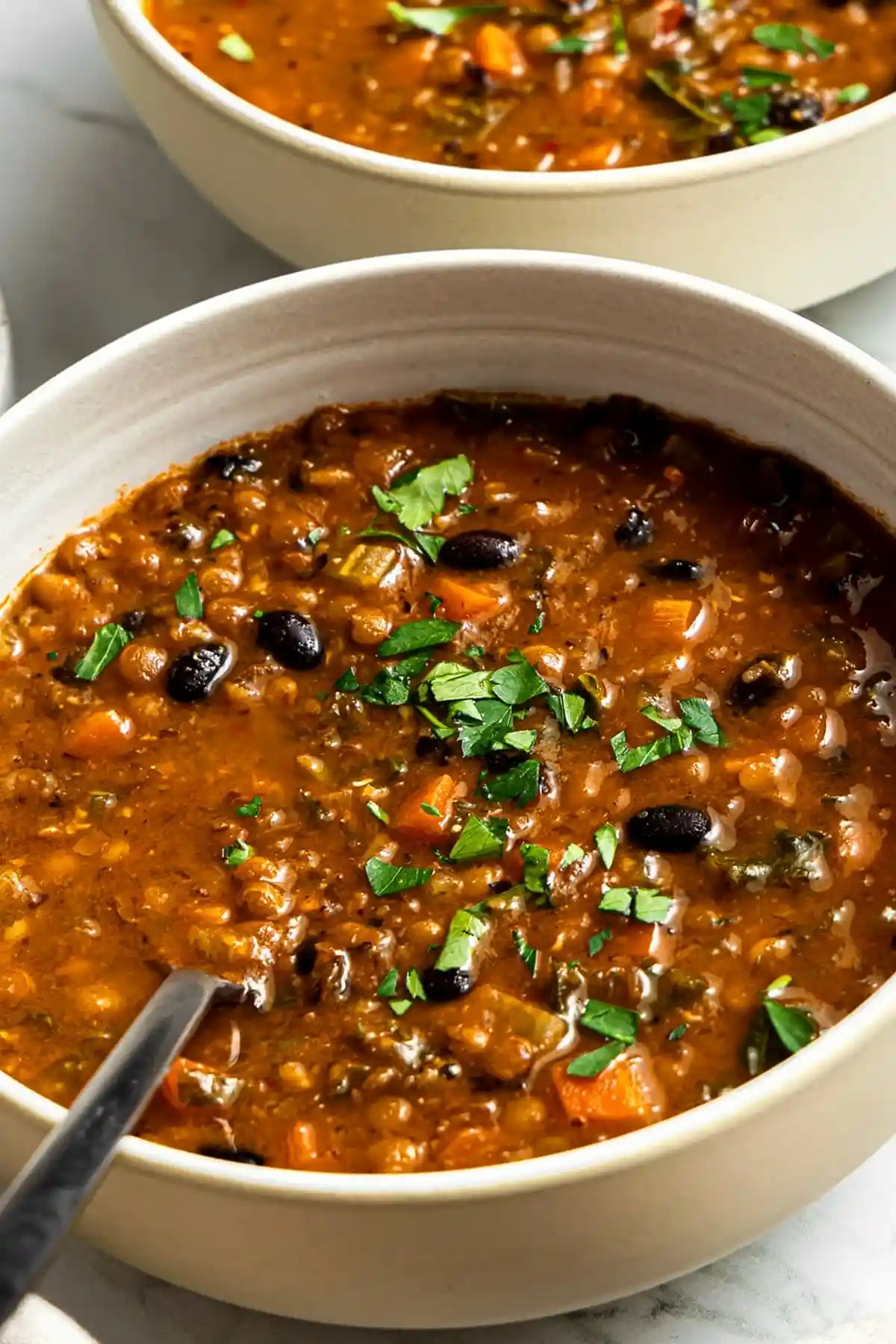 Hearty Black Bean and Lentil Soup
