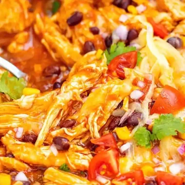 Quick Tex-Mex Instant Pot Salsa Chicken