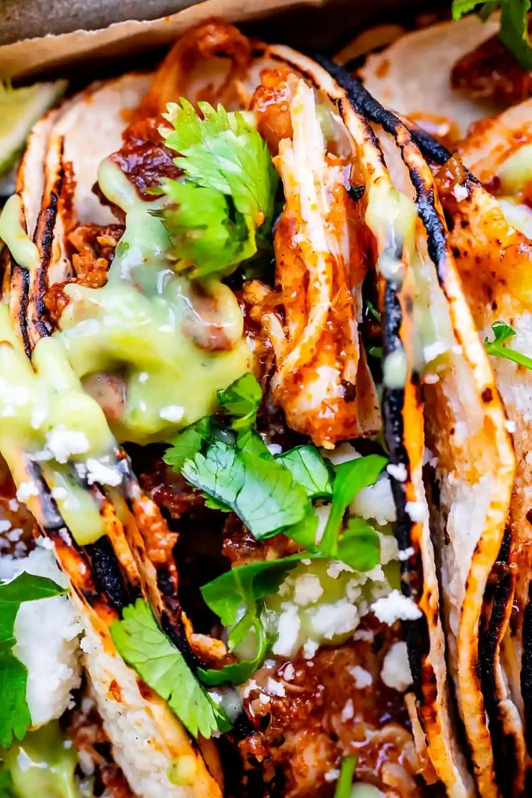 Taqueria-Style Chicken Taco Recipe
