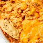 The Best Crockpot Buffalo Chicken Dip
